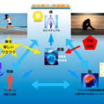 統合療法・意識療法とは？